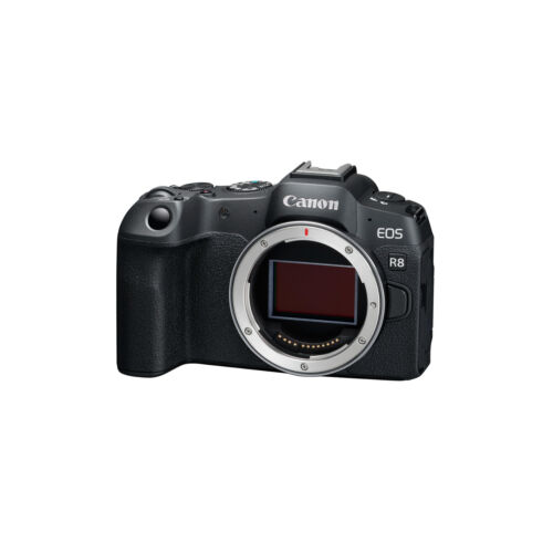 Canon EOS R8 Mirrorless Camera Vlogger PRO 13803351354| eBay