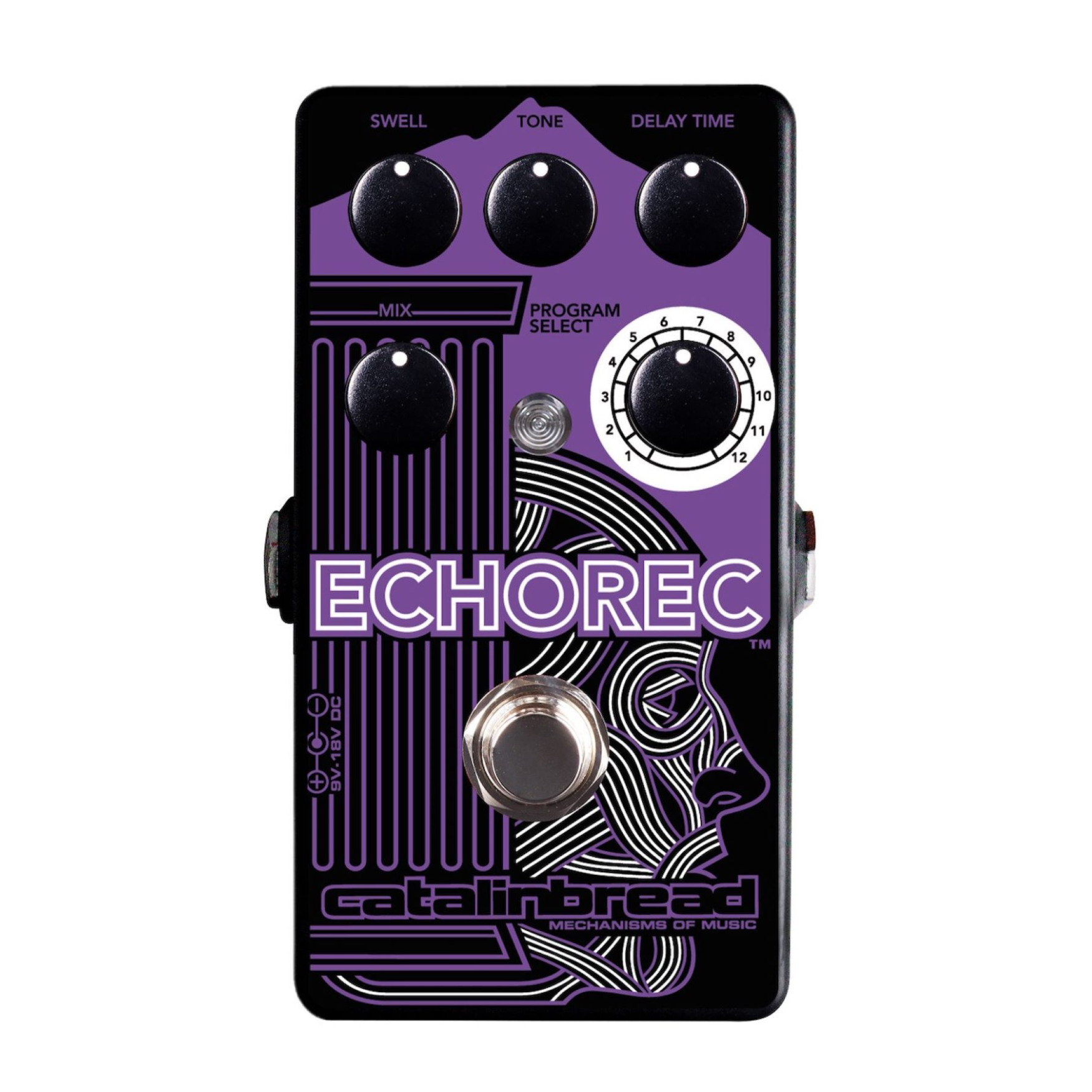 新品 未使用 Catalinbread ECHOREC Catalinbread ECHOREC Multi Head Delay Guitar Effects Pedal Purple