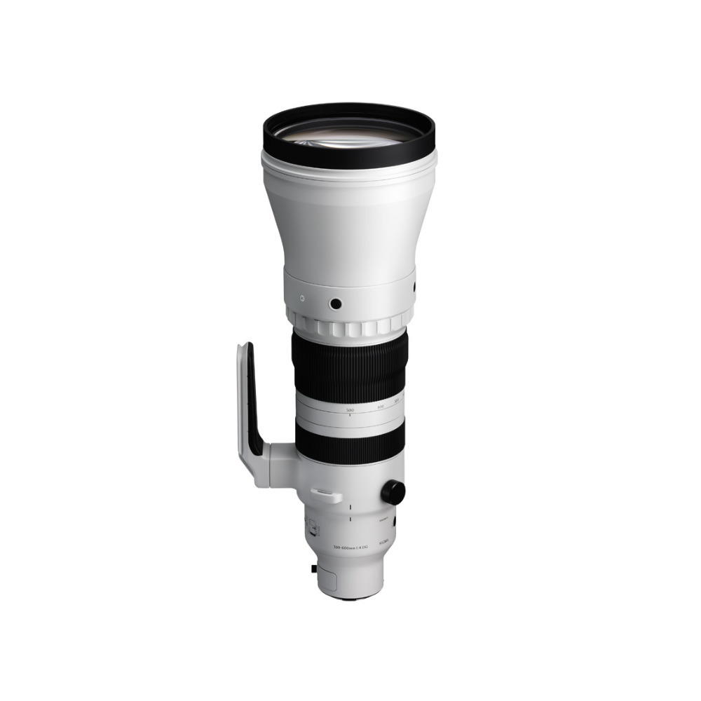 SIGMA 300mm f4 EFマウント Sigma 300-600mm f/4 DG OS Sports Lens L Mount Telephoto PRO | eBay