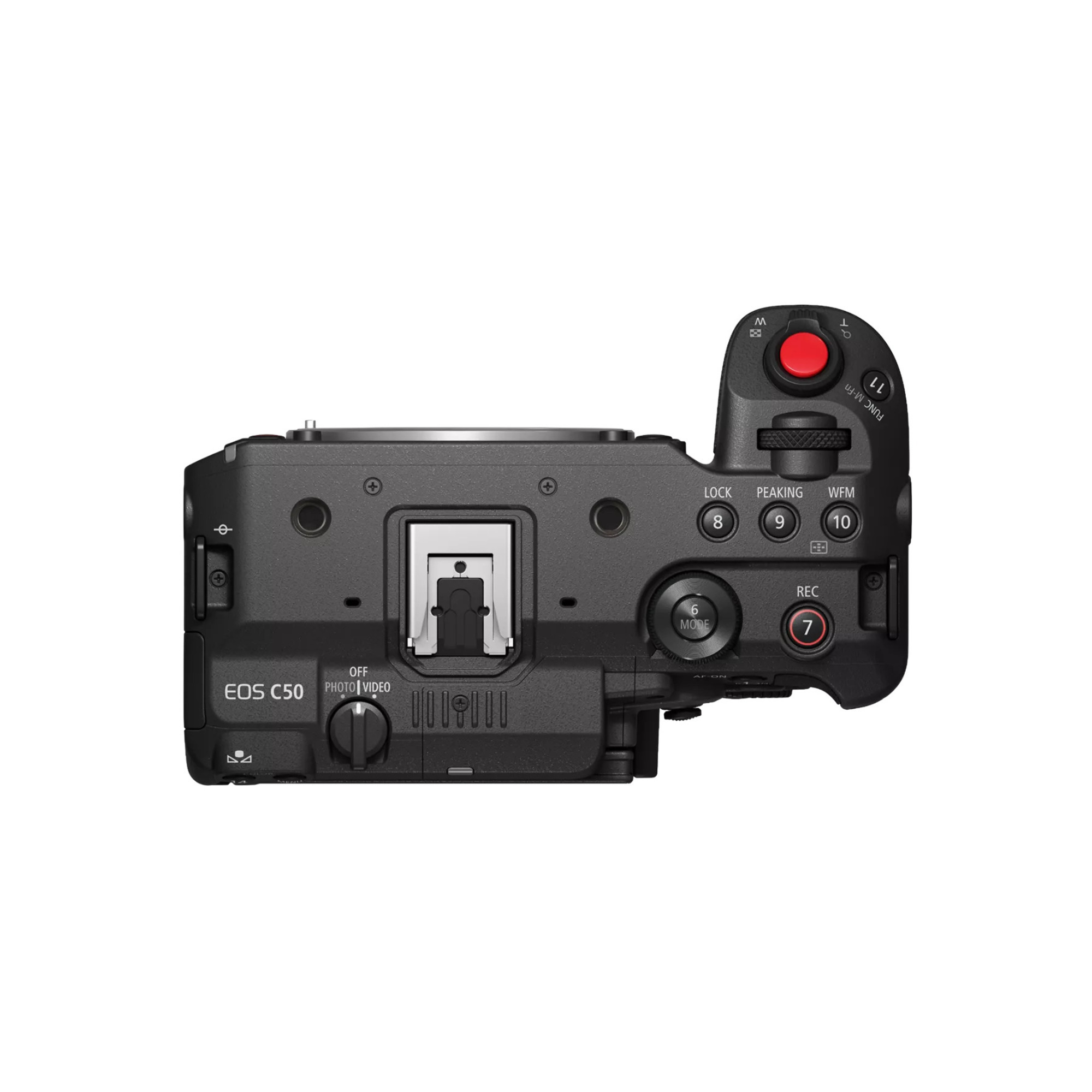 Canon EOS C50 本体 Canon EOS C50 Cinema Camera Full Frame RF Mount Full-Frame | eBay