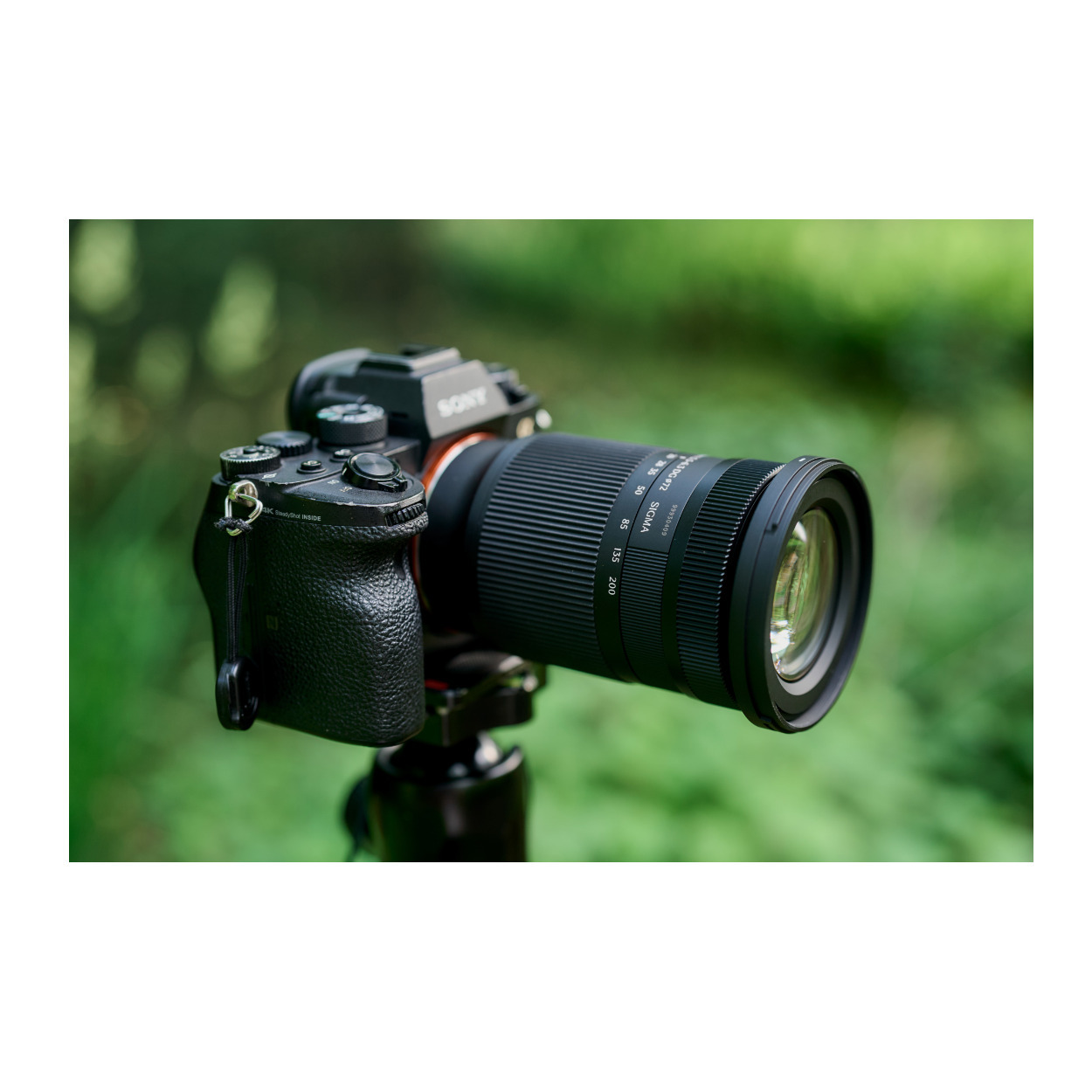 Sony Eマウント！ 20–200mm F3.5–6.3 DG⭕️SIGMA Sigma 20-200mm F 3.5-6.3 DG for Sony E Mount. U.S Authorized