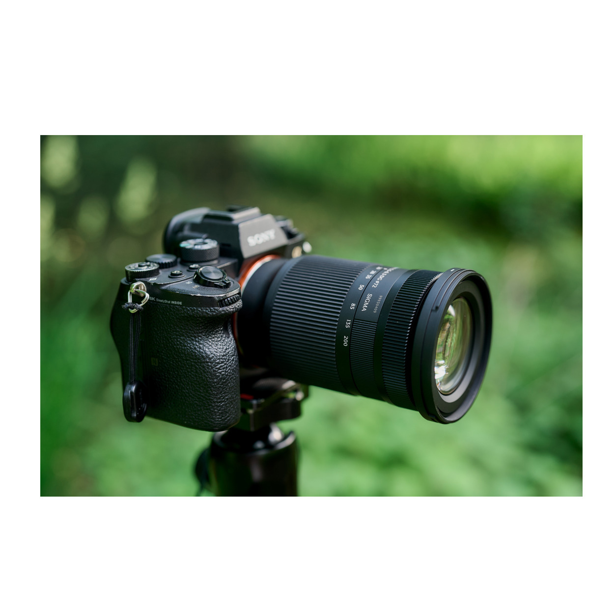 Sigma 20-200mm F3.5-6.3 DG Contemporary Lens (L Mount) Wide Zoom 