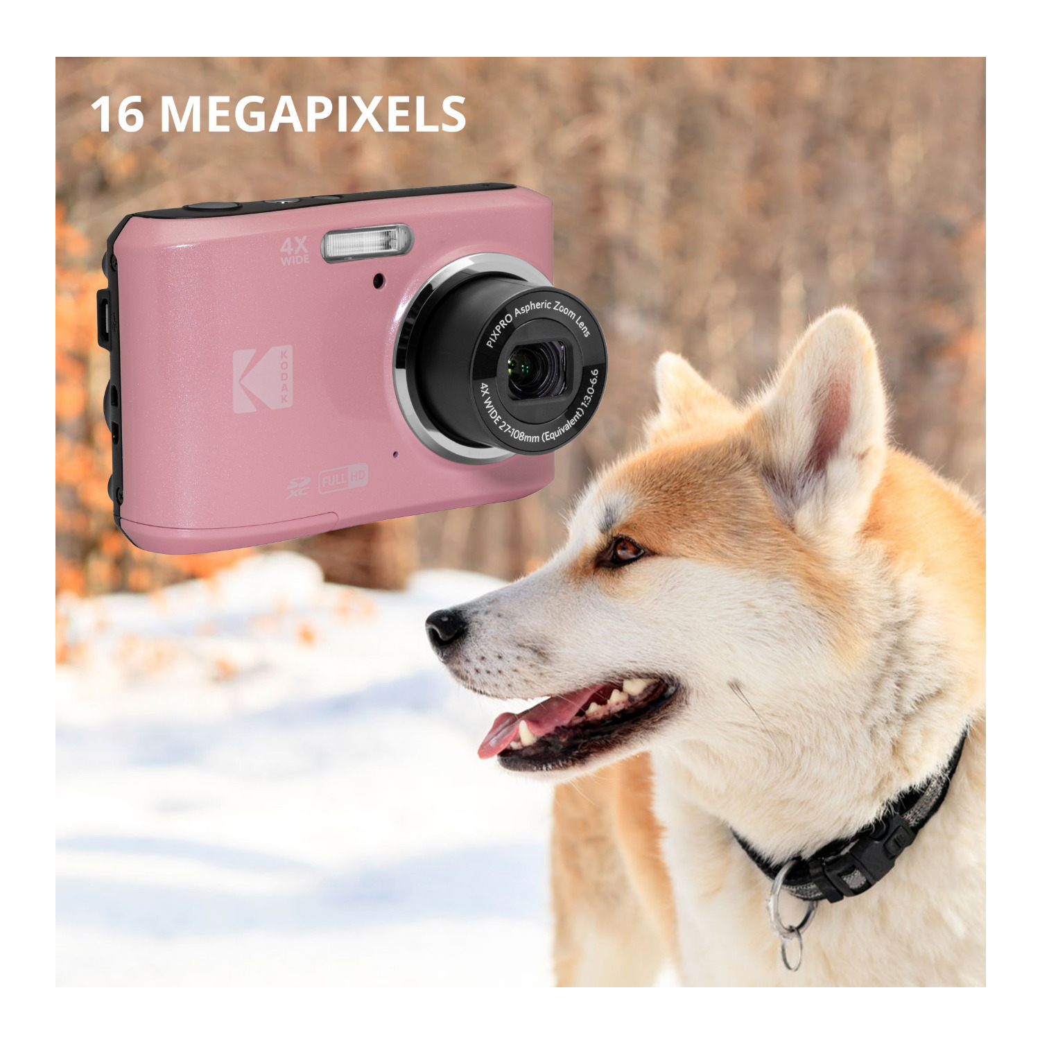 Kodak PixPro FZ45 Friendly Zoom 16MP Digital Camera SD Card Case