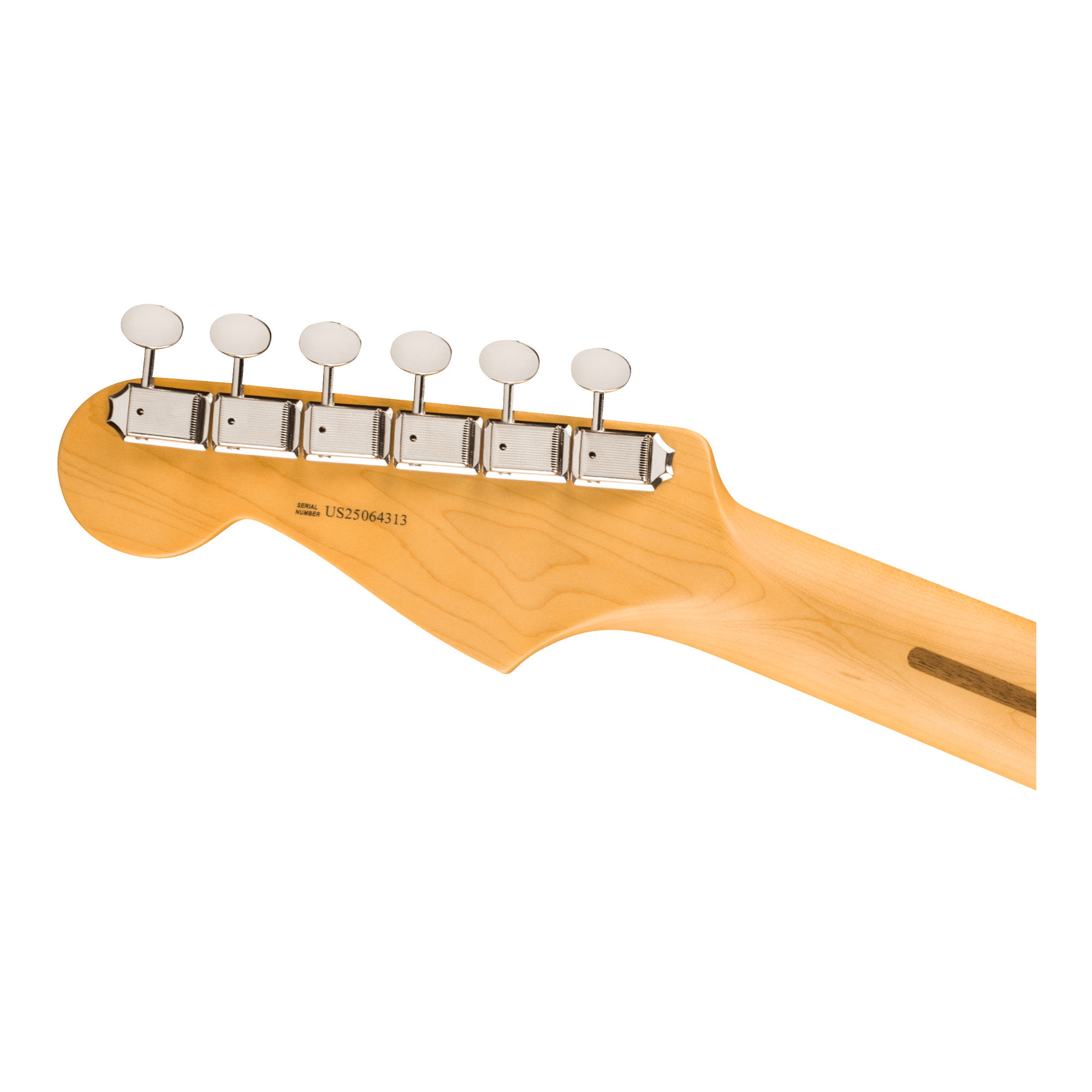 Fender American Professional Classic Stratocaster HSS (FSGM) | eBay